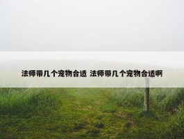 法师带几个宠物合适 法师带几个宠物合适啊