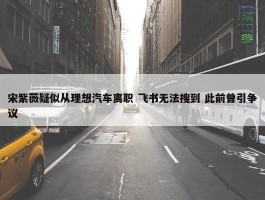 宋紫薇疑似从理想汽车离职 飞书无法搜到 此前曾引争议