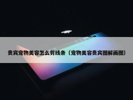 贵宾宠物美容怎么剪线条（宠物美容贵宾图解画图）