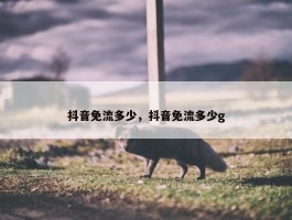 抖音免流多少，抖音免流多少g