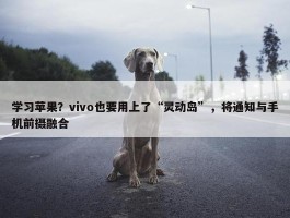 学习苹果？vivo也要用上了“灵动岛”，将通知与手机前摄融合