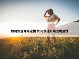 如何快速升级宠物 如何快速升级宠物属性