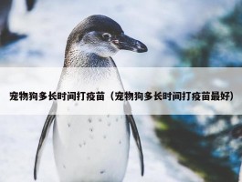 宠物狗多长时间打疫苗（宠物狗多长时间打疫苗最好）