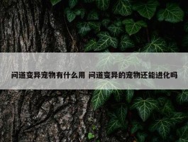 问道变异宠物有什么用 问道变异的宠物还能进化吗