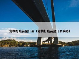 宠物打疫苗是什么（宠物打疫苗是什么病毒）