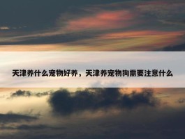 天津养什么宠物好养，天津养宠物狗需要注意什么