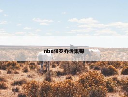 nba保罗乔治集锦