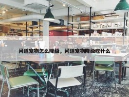 问道宠物怎么降级，问道宠物降级吃什么