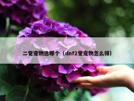 二觉宠物选哪个（dnf2觉宠物怎么得）