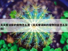 天天爱消除的宠物怎么用（天天爱消除的宠物技能怎么获得）