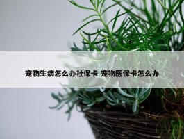 宠物生病怎么办社保卡 宠物医保卡怎么办