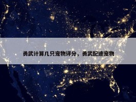 勇武计算几只宠物评分，勇武配速宠物