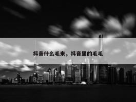 抖音什么毛来，抖音里的毛毛