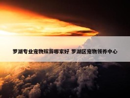 罗湖专业宠物殡葬哪家好 罗湖区宠物领养中心