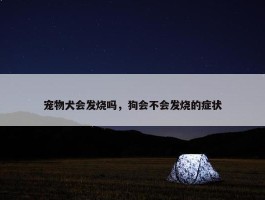 宠物犬会发烧吗，狗会不会发烧的症状