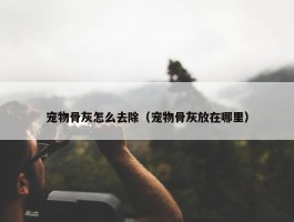 宠物骨灰怎么去除（宠物骨灰放在哪里）