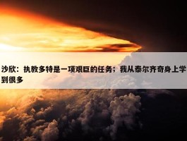 沙欣：执教多特是一项艰巨的任务；我从泰尔齐奇身上学到很多