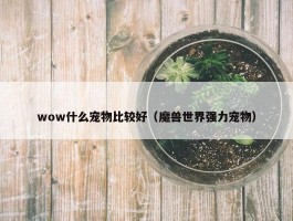 wow什么宠物比较好（魔兽世界强力宠物）