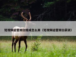 短视频运营岗位提成怎么算（短视频运营岗位薪资）