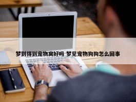 梦到得到宠物窝好吗 梦见宠物狗狗怎么回事