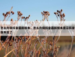 怎么升级抖音最新版本，怎么升级抖音最新版本显示抖音版本低了