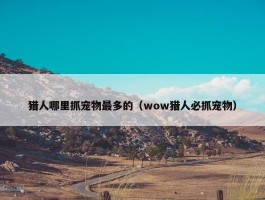 猎人哪里抓宠物最多的（wow猎人必抓宠物）