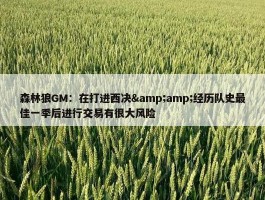 森林狼GM：在打进西决&amp;经历队史最佳一季后进行交易有很大风险