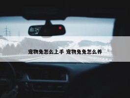 宠物兔怎么上手 宠物兔兔怎么养