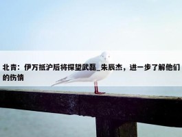 北青：伊万抵沪后将探望武磊_朱辰杰，进一步了解他们的伤情