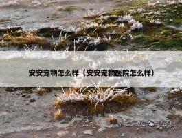 安安宠物怎么样（安安宠物医院怎么样）