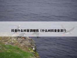 抖音什么叫音浪赚钱（什么叫抖音音浪?）