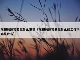 短视频运营要做什么事情（短视频运营是做什么的工作内容是什么）