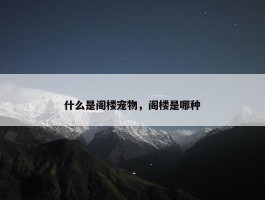 什么是阁楼宠物，阁楼是哪种