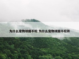 为什么宠物项圈不松 为什么宠物项圈不松开