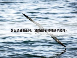 怎么给宠物剃毛（宠物剃毛视频新手教程）