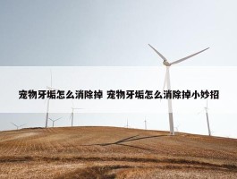 宠物牙垢怎么消除掉 宠物牙垢怎么消除掉小妙招