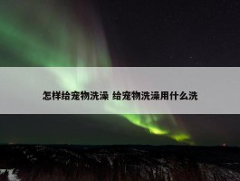 怎样给宠物洗澡 给宠物洗澡用什么洗