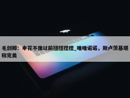 毛剑卿：申花不像以前扭扭捏捏_唯唯诺诺，斯卢茨基堪称完美