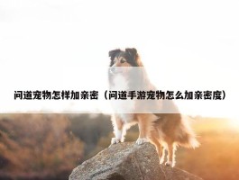 问道宠物怎样加亲密（问道手游宠物怎么加亲密度）