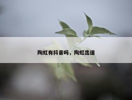 陶虹有抖音吗，陶虹出道