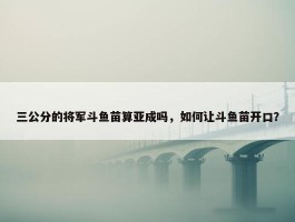 三公分的将军斗鱼苗算亚成吗，如何让斗鱼苗开口？