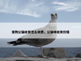 宠物公猫绝育怎么收费，公猫咪绝育价格