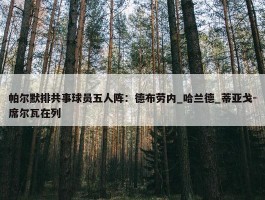 帕尔默排共事球员五人阵：德布劳内_哈兰德_蒂亚戈-席尔瓦在列