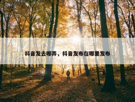 抖音发去哪弄，抖音发布在哪里发布