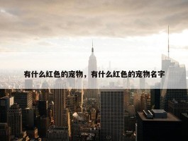 有什么红色的宠物，有什么红色的宠物名字