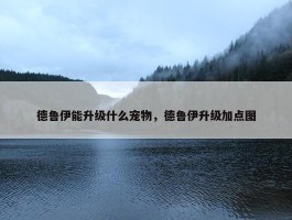 德鲁伊能升级什么宠物，德鲁伊升级加点图