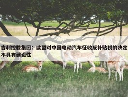 吉利控股集团：欧盟对中国电动汽车征收反补贴税的决定不具有建设性