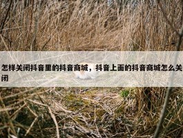 怎样关闭抖音里的抖音商城，抖音上面的抖音商城怎么关闭