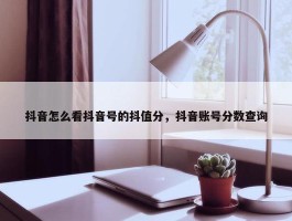 抖音怎么看抖音号的抖值分，抖音账号分数查询