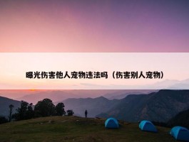 曝光伤害他人宠物违法吗（伤害别人宠物）